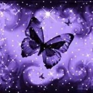 Meet your Posher, Devin